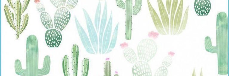 ErinPelkey's profile banner image