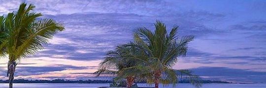 Zeneta Stinson banner