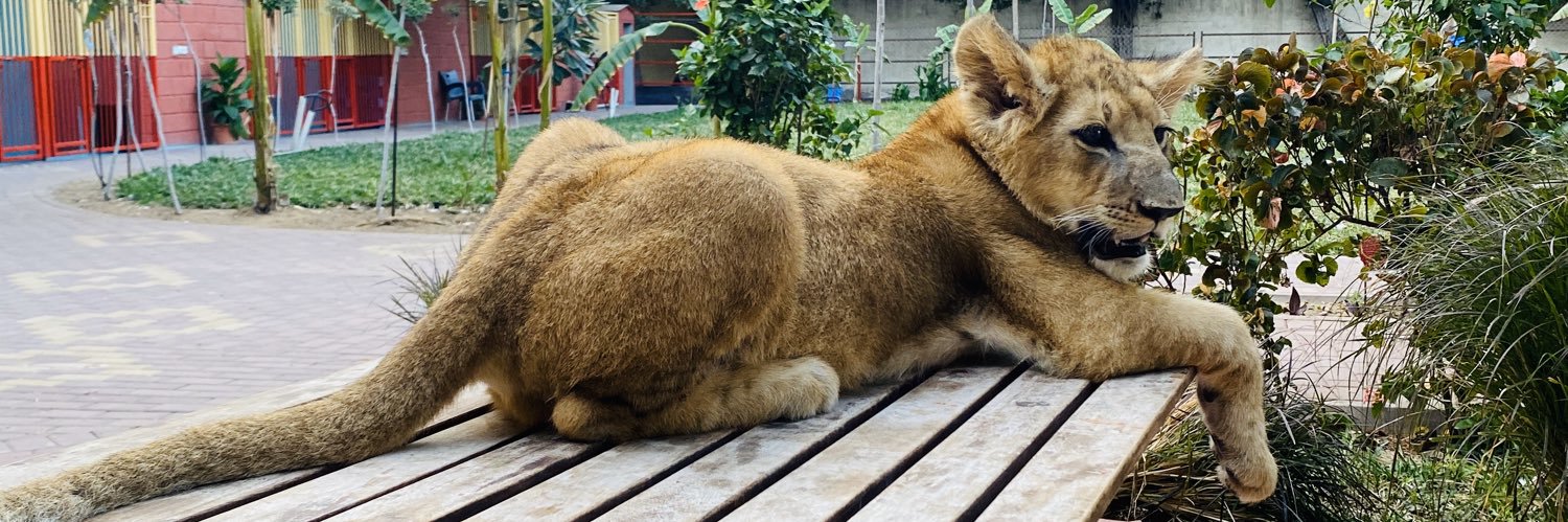 سَعِيدُو *. banner