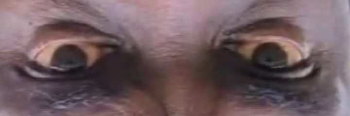 TawnyMoosh's profile banner image