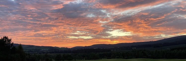 Colin Shortall*🇮🇪 banner