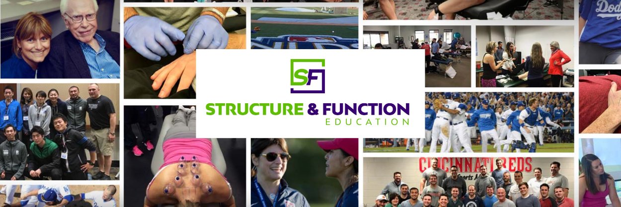 Structure & Function banner