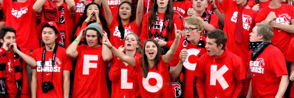 FriendsofLincoln banner