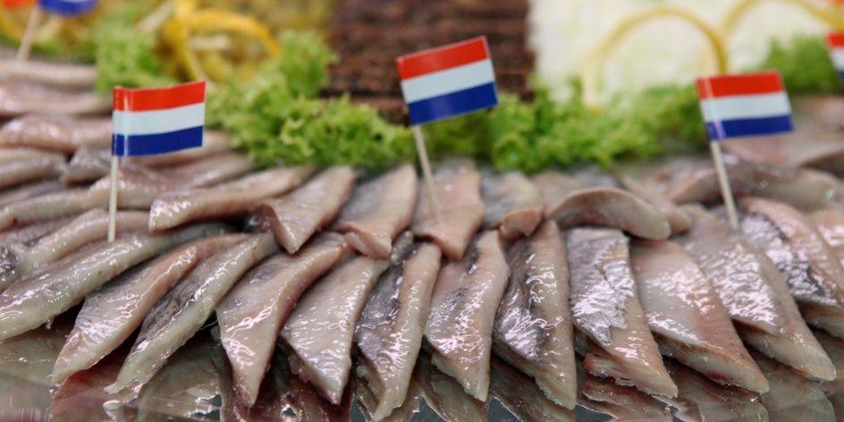 Visbroertjes banner