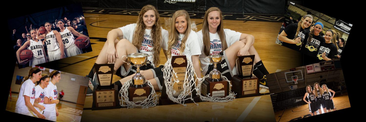 HULadyBisons's profile banner image