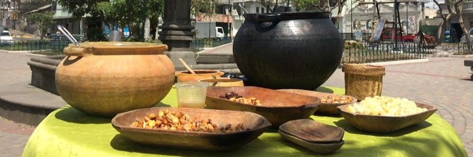 guanolema's profile banner image