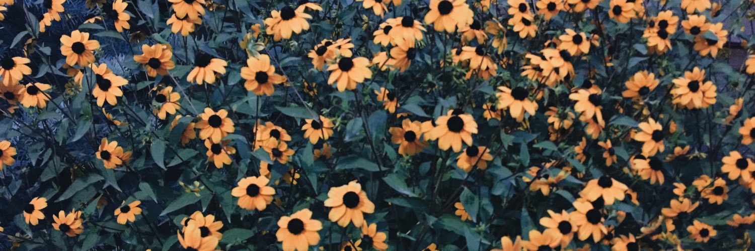 izhinton's profile banner image