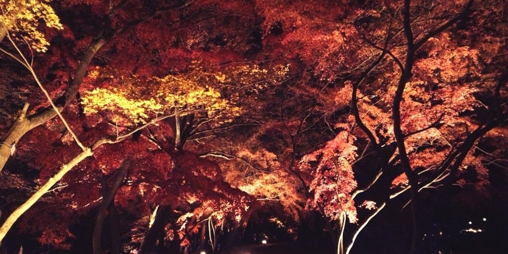 dimnsts08's profile banner image