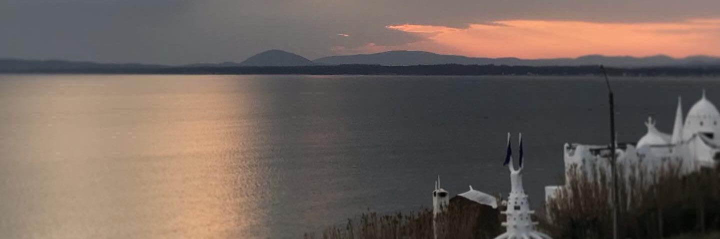 oveja1999's profile banner image