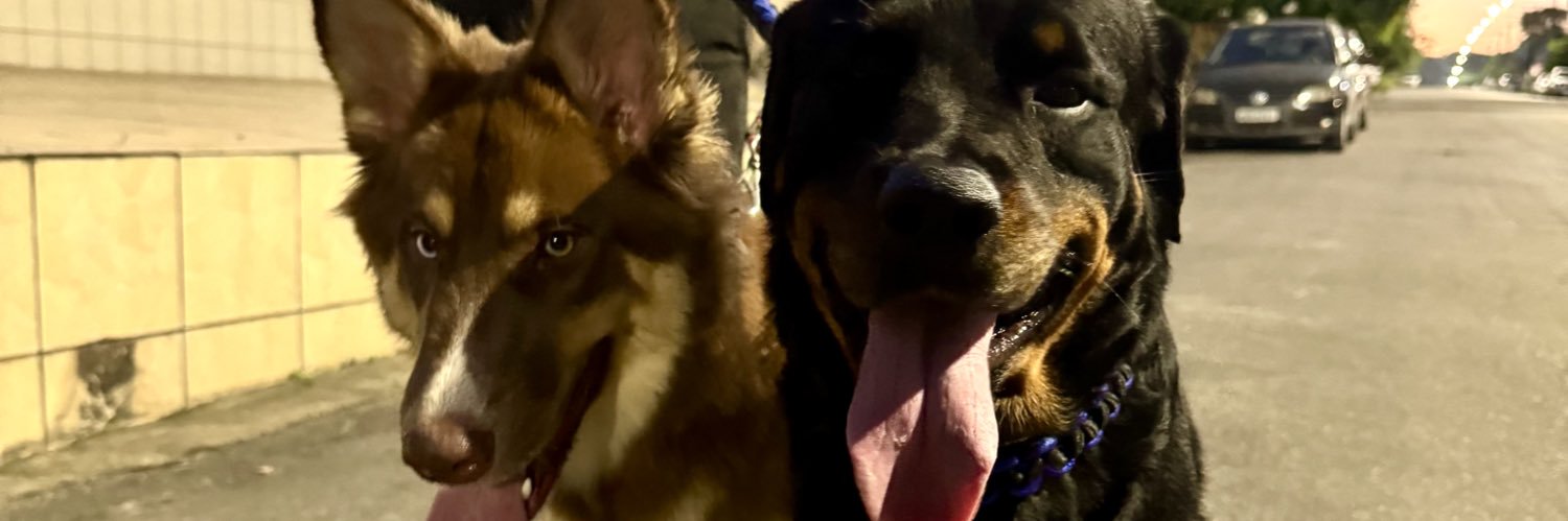 millysfrota's profile banner image