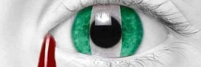 FUTURE HUSBAND banner