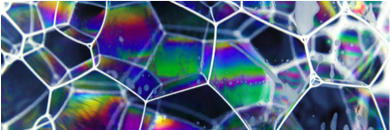 Nicole Bannister (she/her) banner