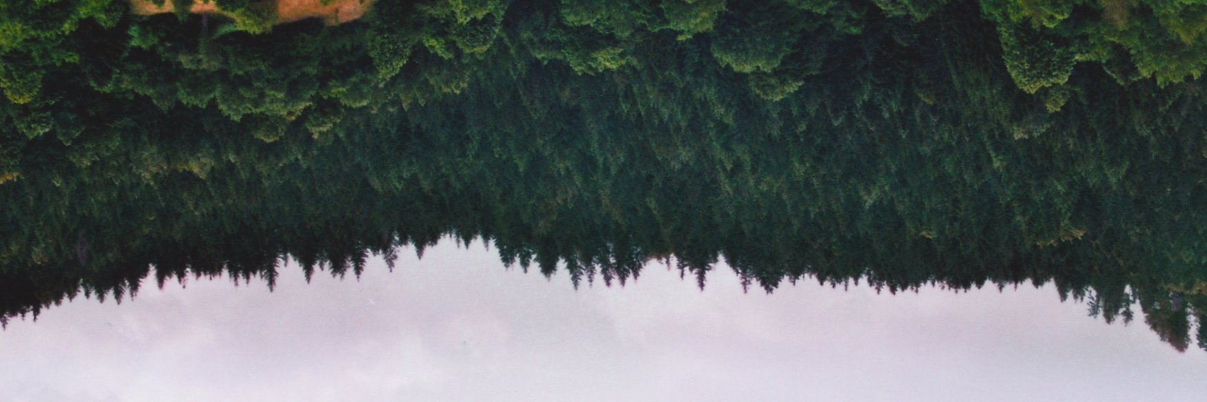 mattkoslowski's profile banner image