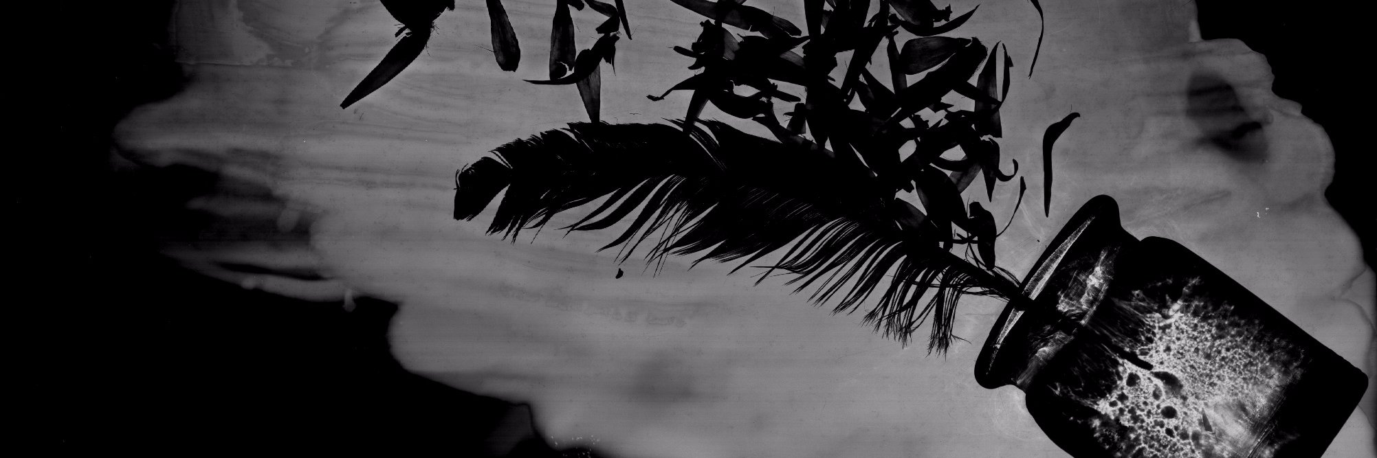 Miss_Murky's profile banner image
