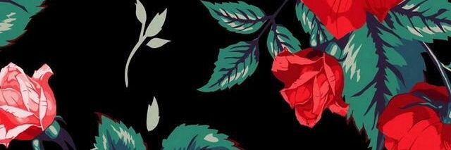 marufernanddez's profile banner image