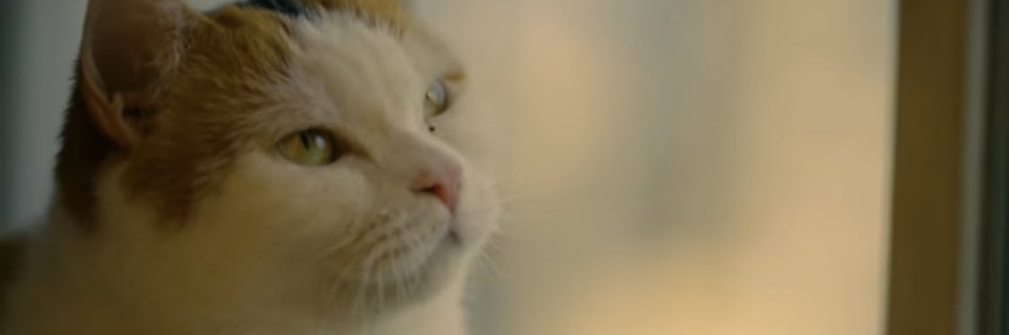 雪村まり(まりりん) banner