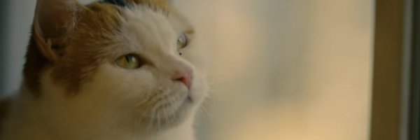 rinrin2488 Profile Banner