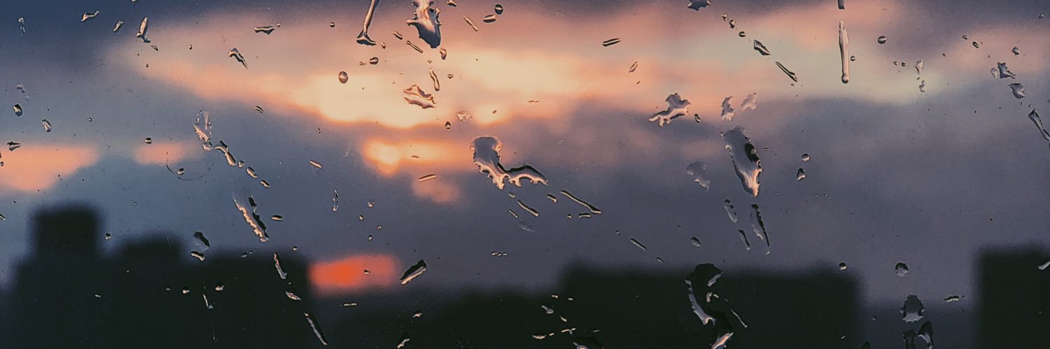 wildboffin's profile banner image