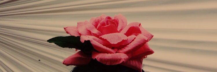 Irenishh's profile banner image