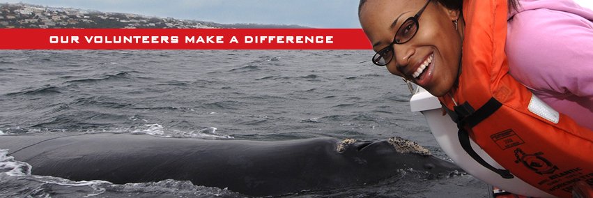 orcafoundation's profile banner image