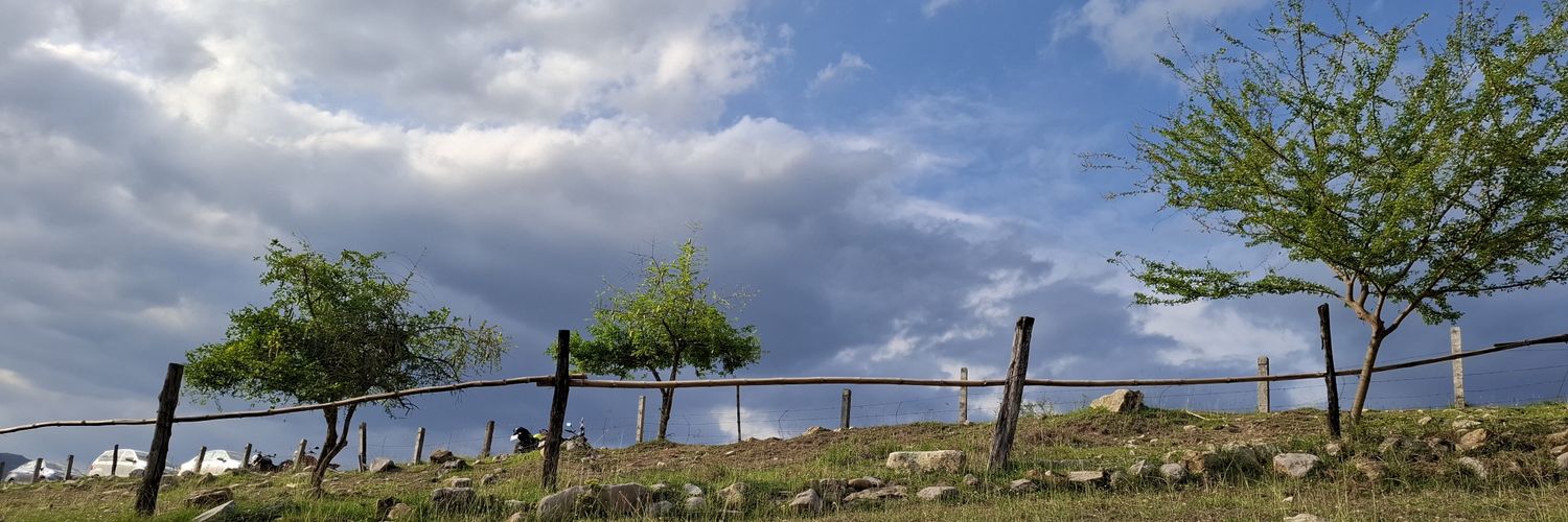 pilypepper's profile banner image
