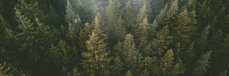 Jessshields__'s profile banner image