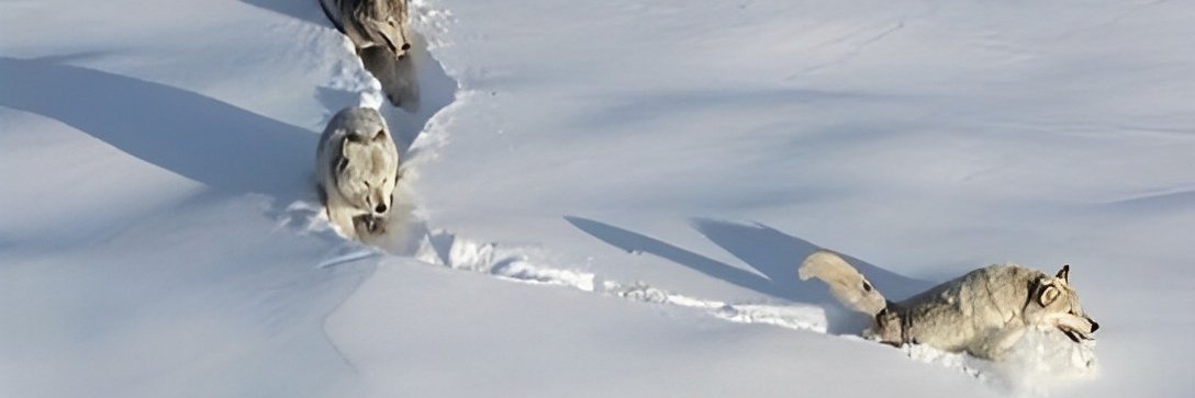 berkayucman's profile banner image