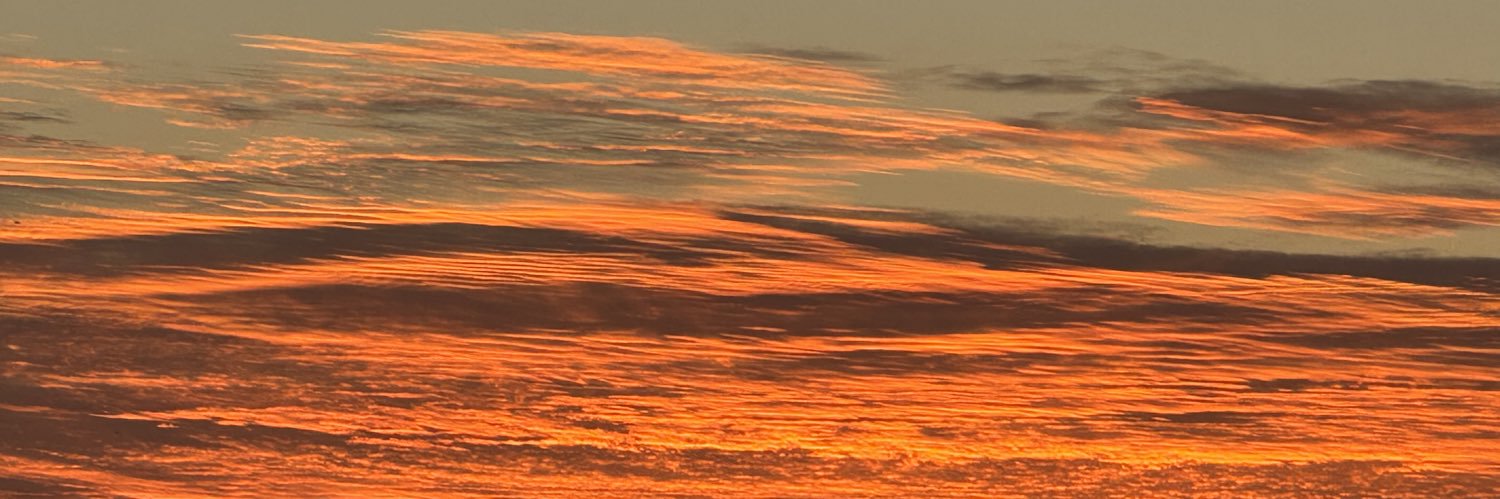 Dylan McCloskey banner