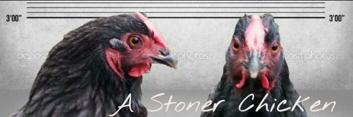 StonerChicken's profile banner image