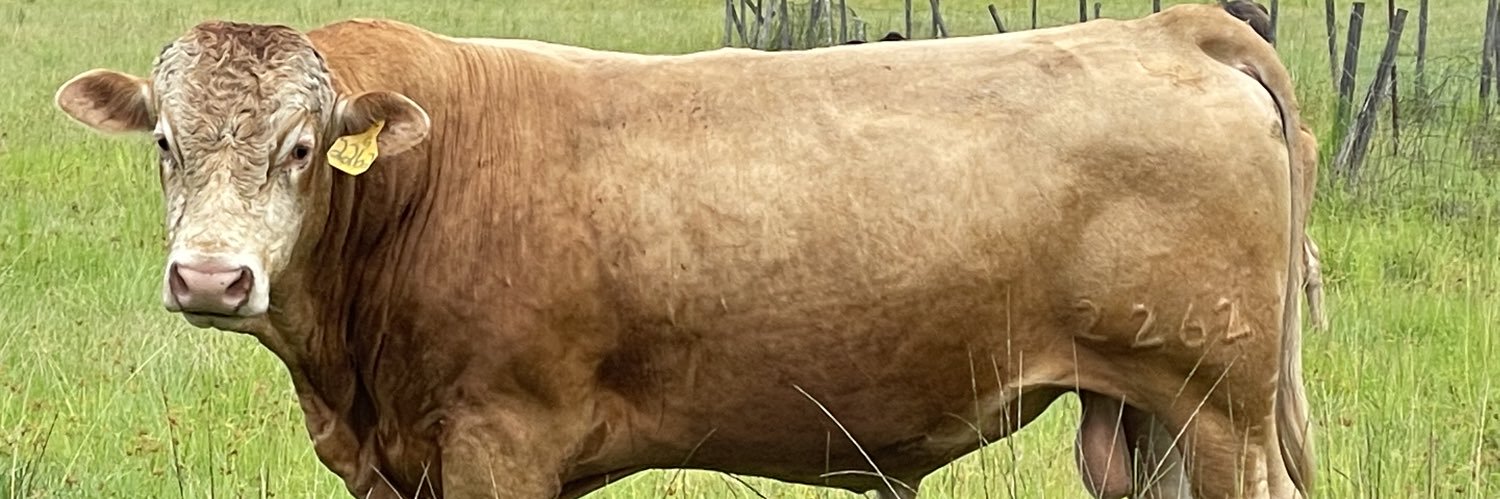 Joe 🥩🐂👨🏻‍🌾🍔 banner