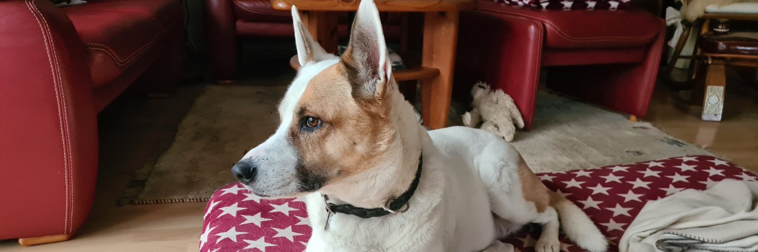 Katziki und Tiffy ( unser Russenmädchen ) banner