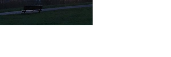 DavidCWheeler2 Profile Banner