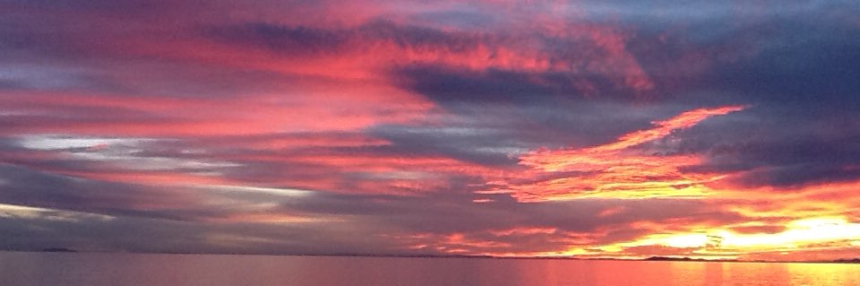 2wacky@2wacky☮️🟦 banner