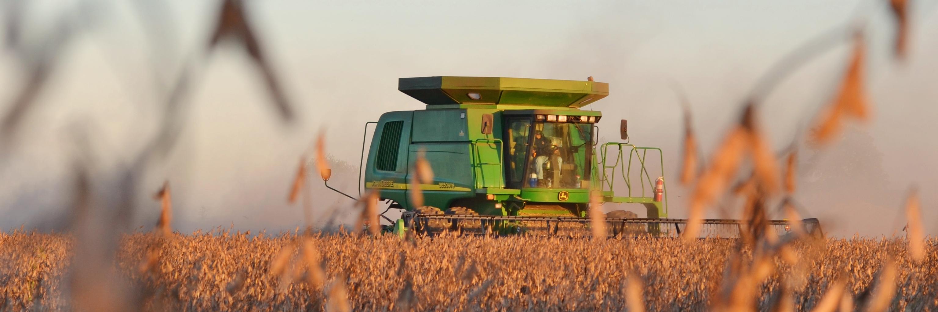 Bailey Elchinger banner