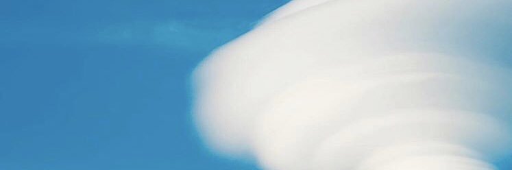 Christa Niekamp banner