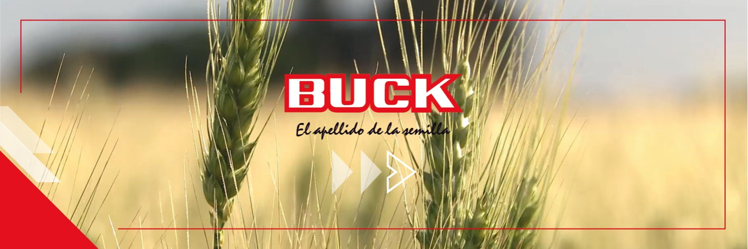 Buck Semillas banner
