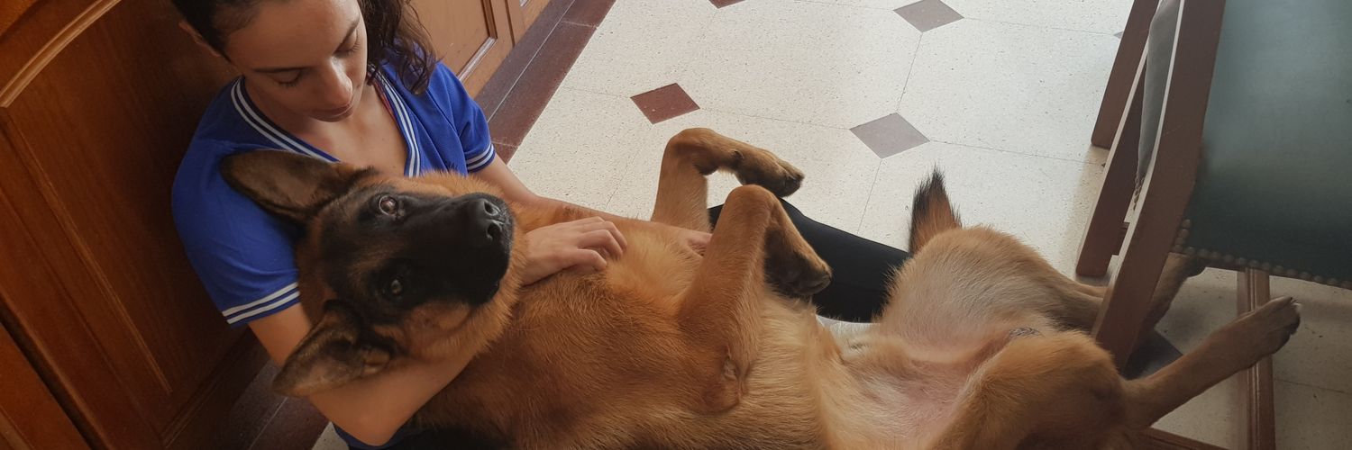 SofiPeco's profile banner image