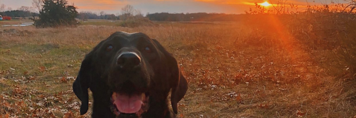 harrison_v21's profile banner image