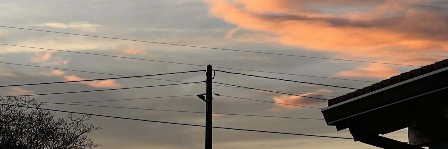Dani🧚🏼‍♀️ banner