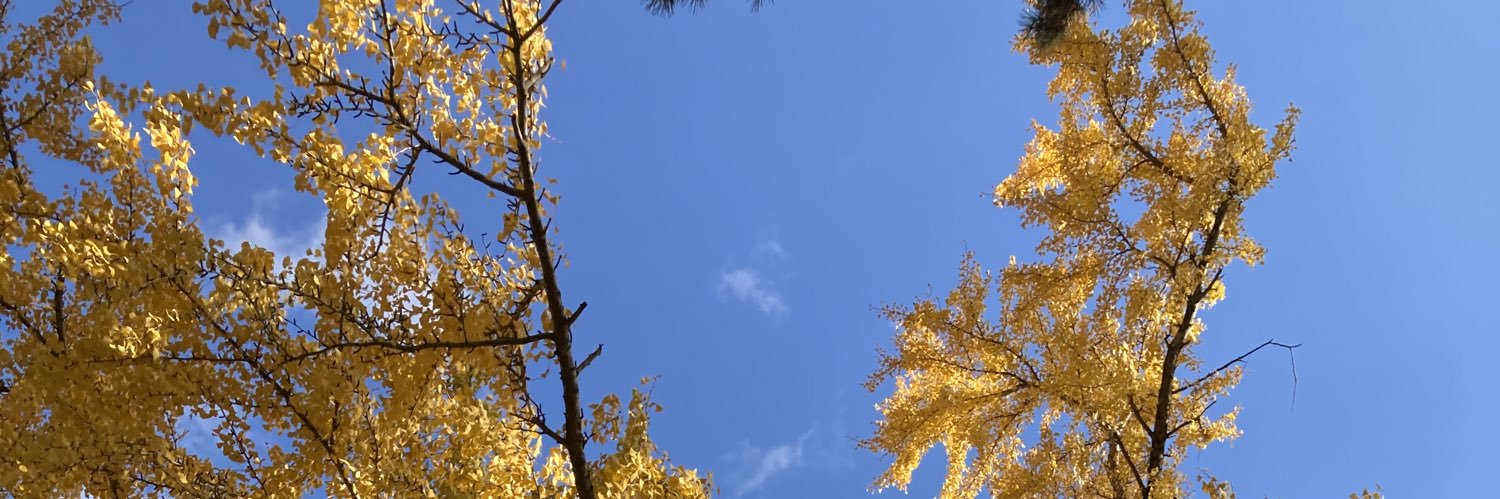 かなき🎾 banner