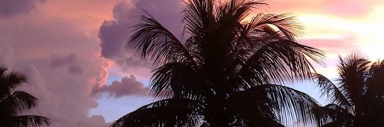 aciremabc's profile banner image