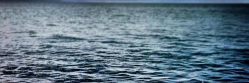 clara camille banner