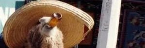 huskerdonkey's profile banner image