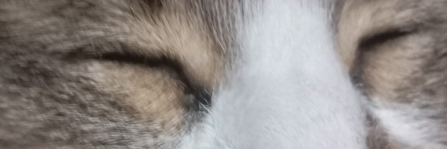 Duff_07's profile banner image