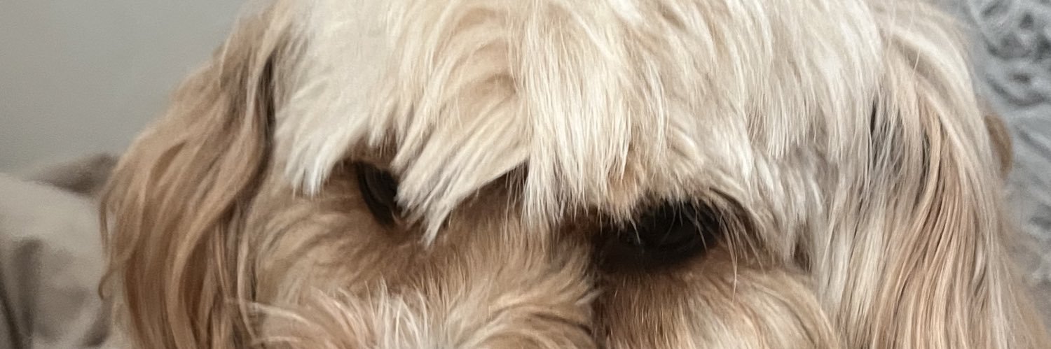 5whnicole's profile banner image