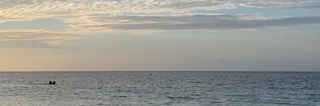 chingangeline's profile banner image