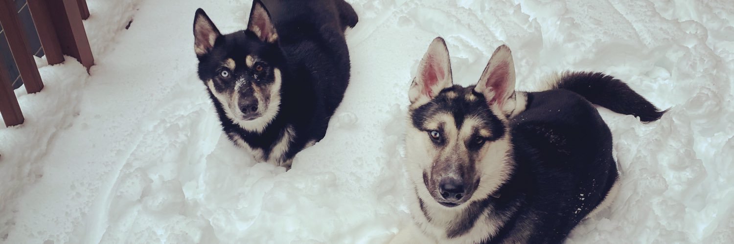 Alexander Bois-Spinelli 🏳️‍🌈 banner