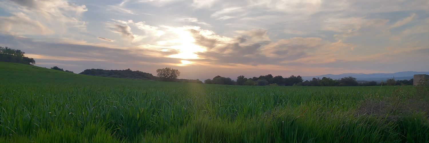 pilarcsv's profile banner image