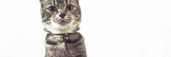 deffinas Profile Banner