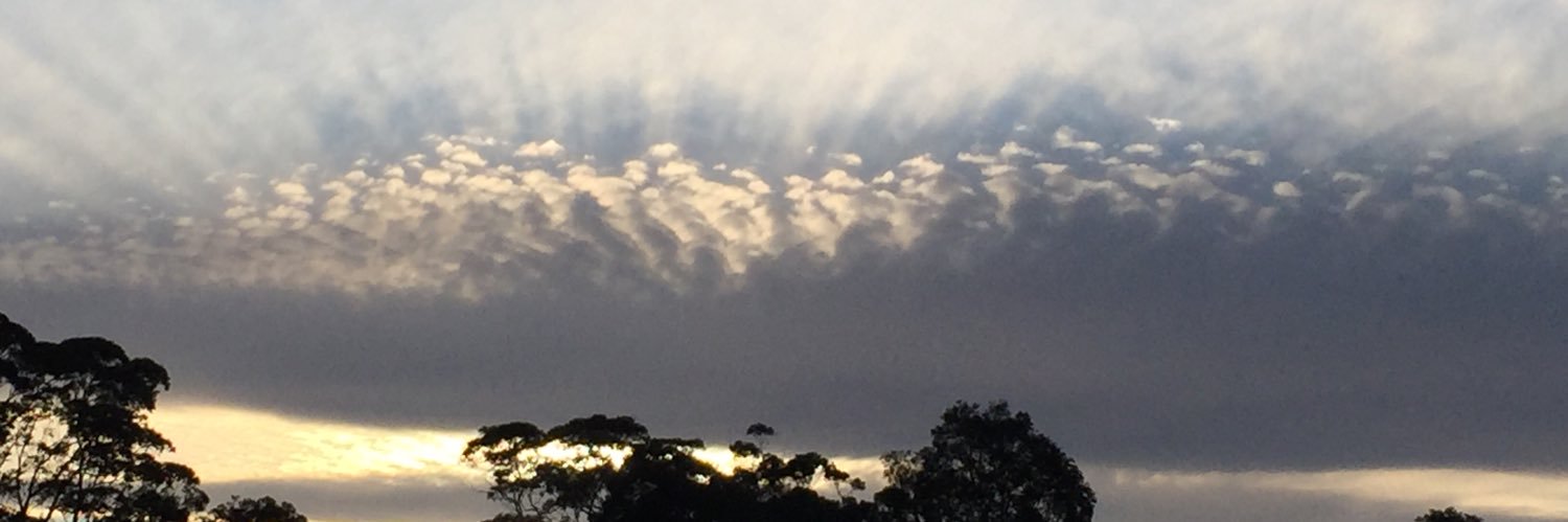 Bronwyn Coulston banner
